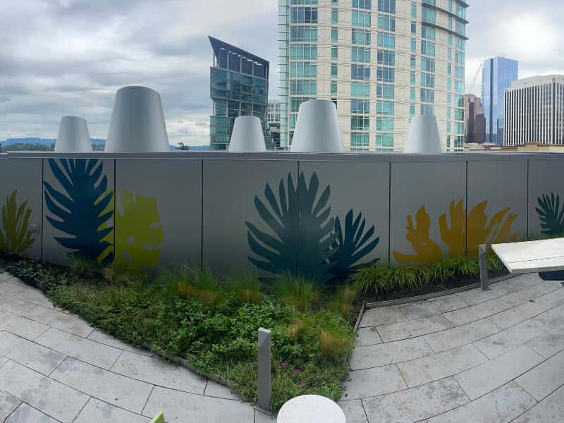 Window & Wall Graphics